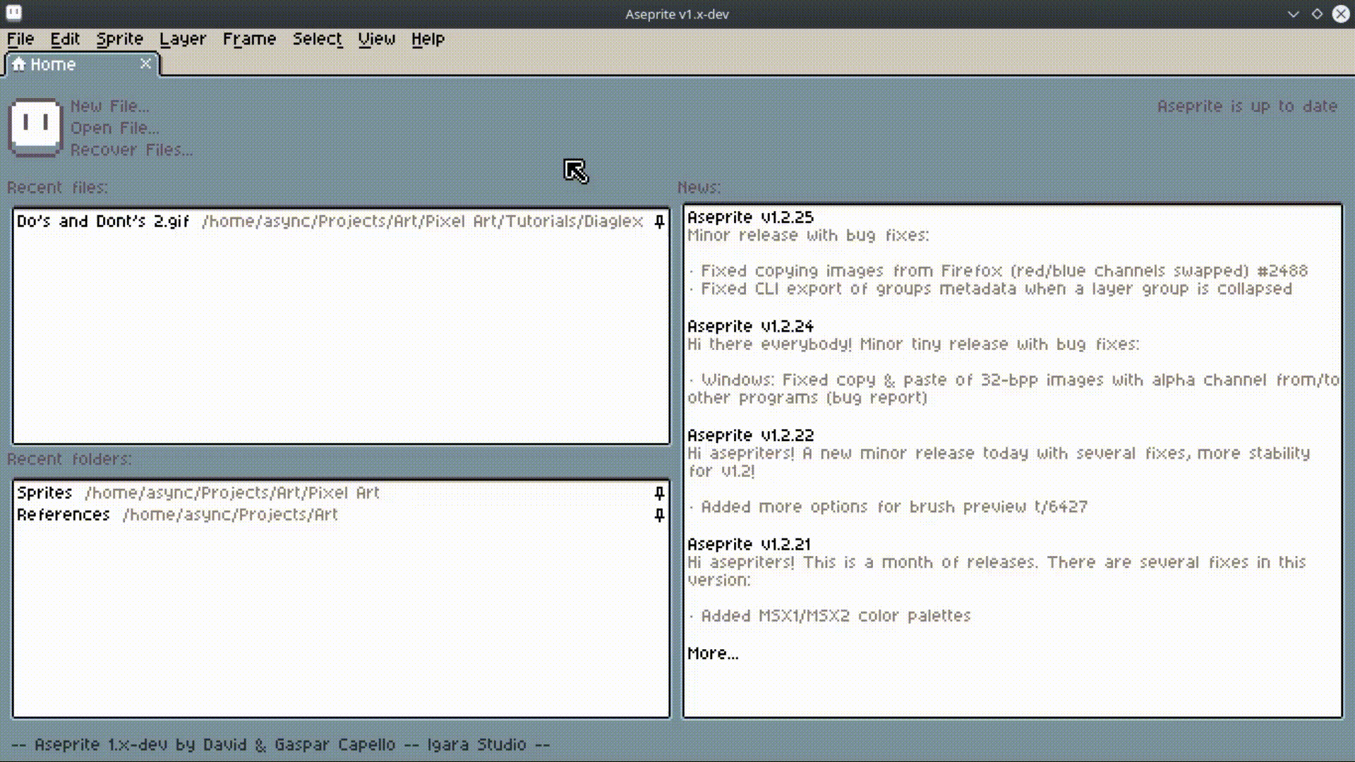 Lag on internal windows - Bug Reports - Aseprite Community