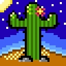 Twilight cactus