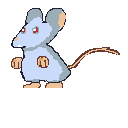 little mouse2