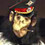 PimpChimpin