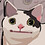 pluginbaby01