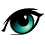 RhysFlood1